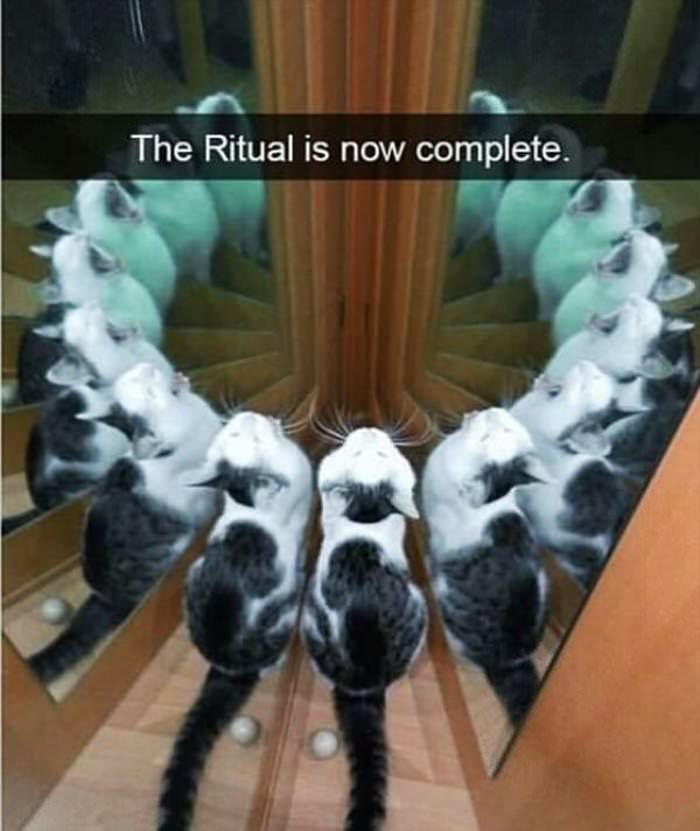 the ritual is complete ... 2
