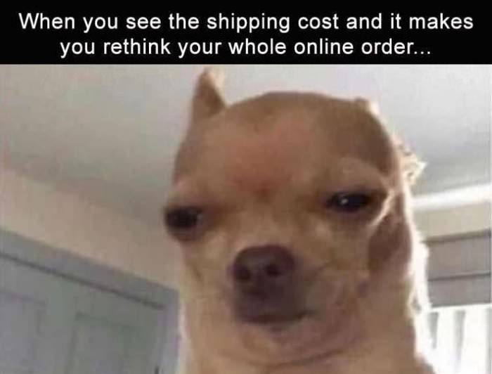 the shipping cost