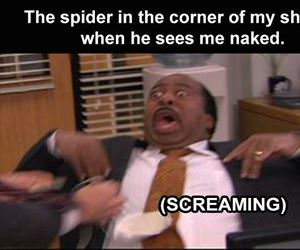 the spider ... 2