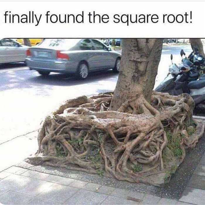 the square root