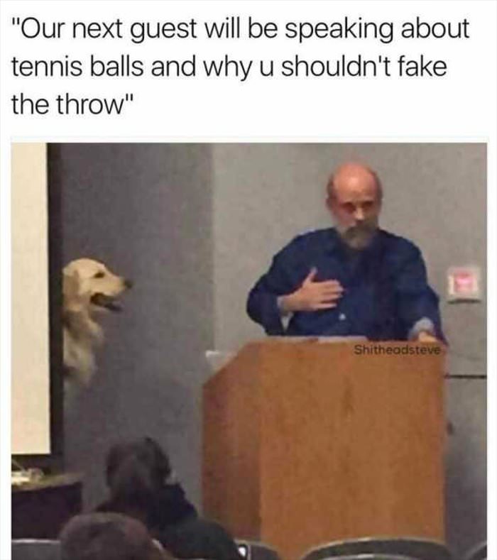 the tennis balls