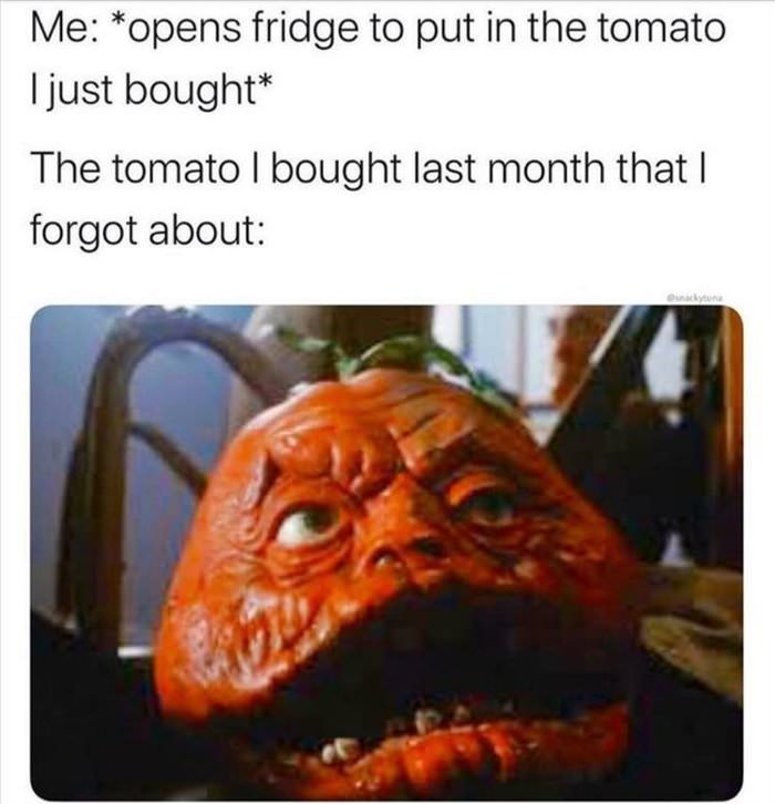 the tomato