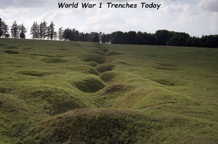 the trenches today