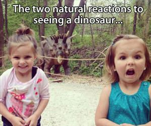 the two natural reactions ... 2