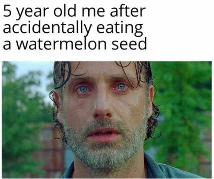 the watermelon seed