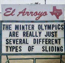 the winter olympics