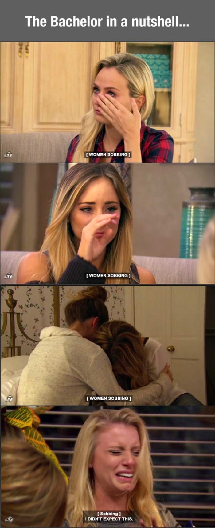 the bachelor in a nutshell funny picture
