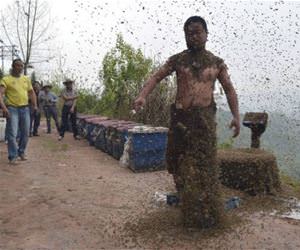 the bee man funny picture