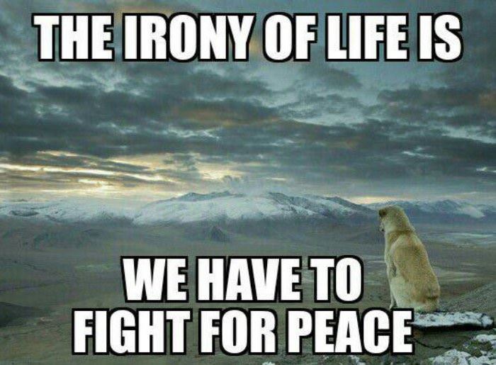 the biggest irony of life funny picture