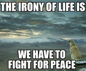 the biggest irony of life funny picture