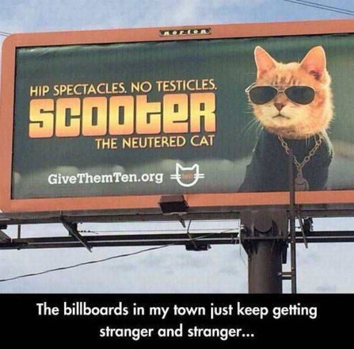 the billboards in my town funny picture