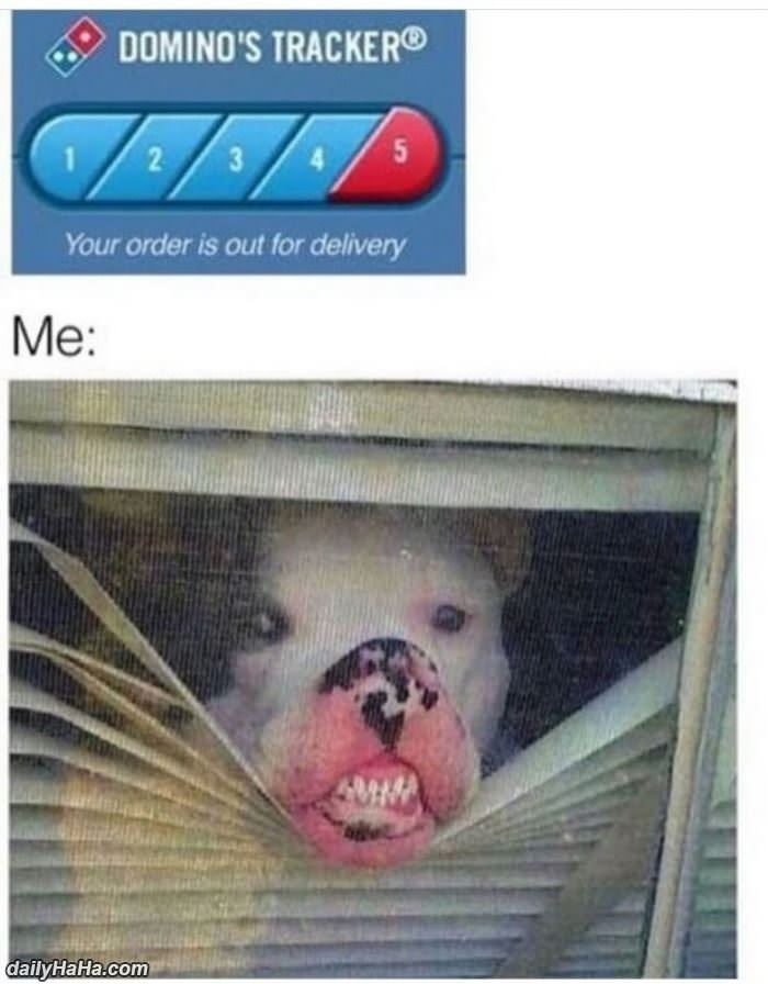 the dominos tracker funny picture
