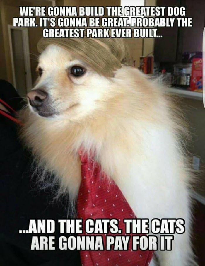 the greatest dog park funny picture