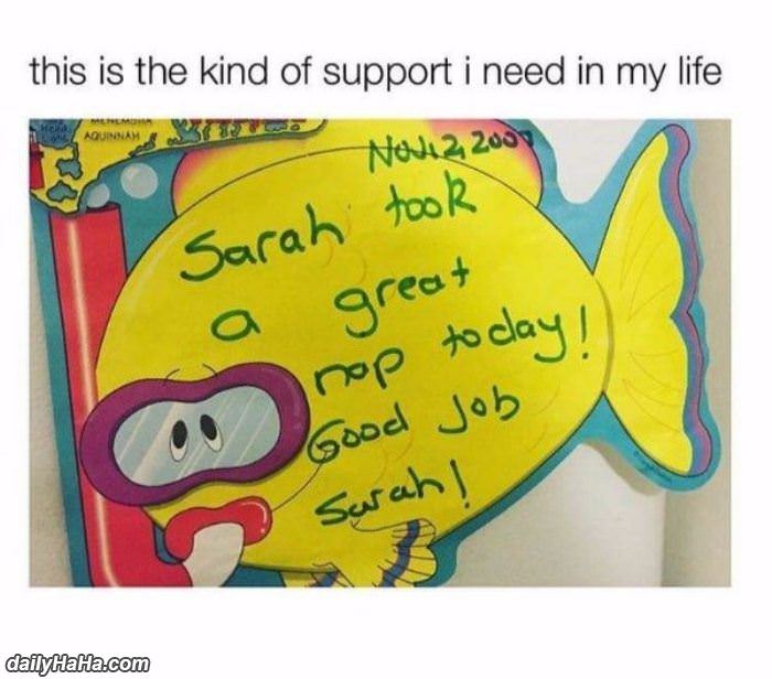 the kind of support i need in life funny picture