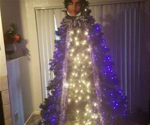 the prince christmas tree funny picture
