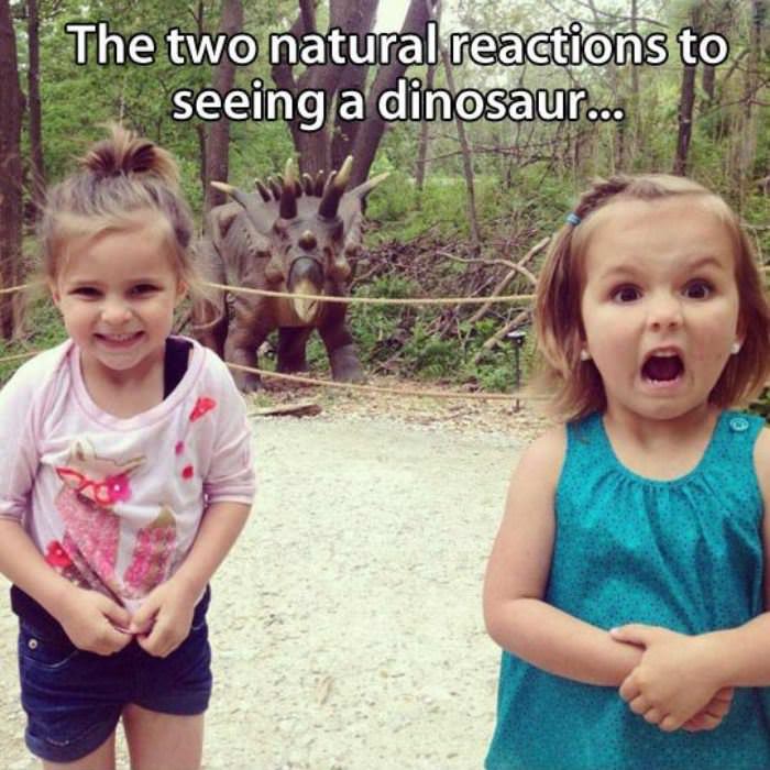 the two natural reactions funny picture