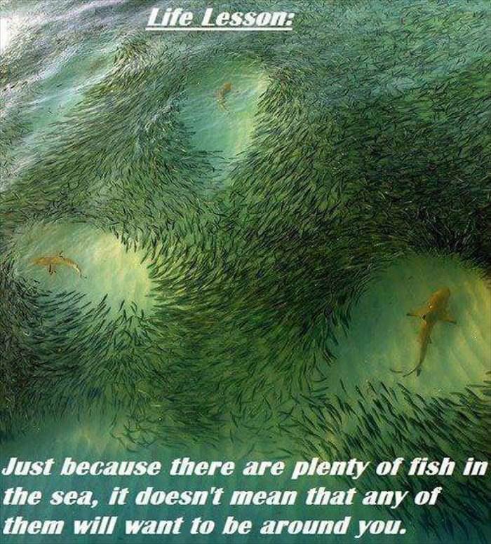 there are plenty of fish