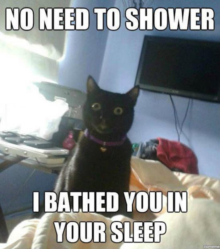 there is no need to shower human funny picture
