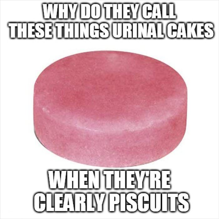 these-are-not-cakes