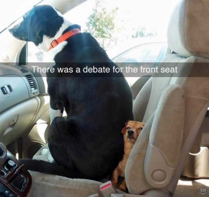 they had a debate funny picture