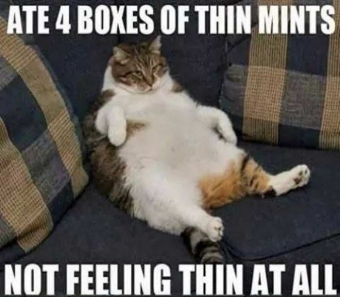 thin mints funny picture
