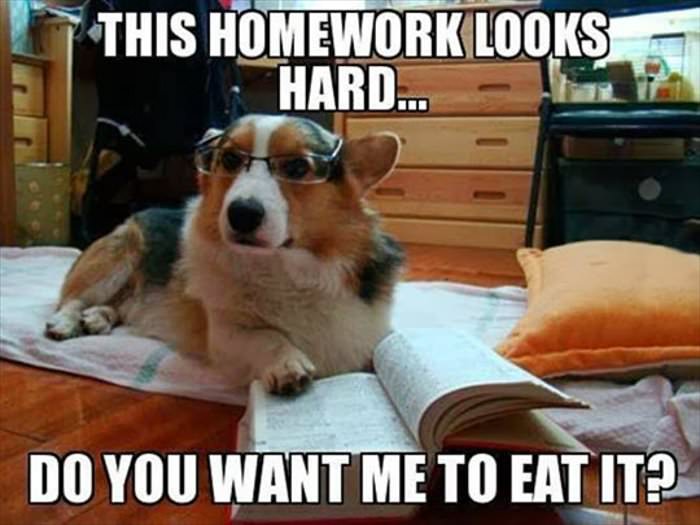 this homework looks hard ... 2