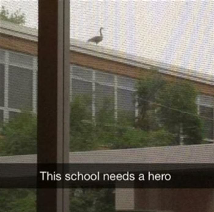 this school needs a hero