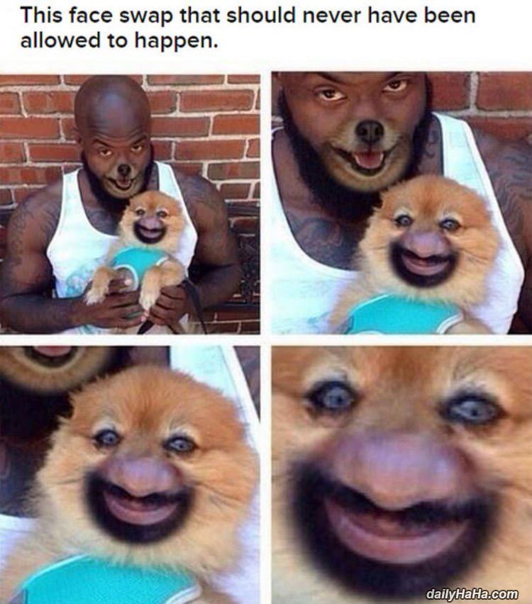 this face swap funny picture