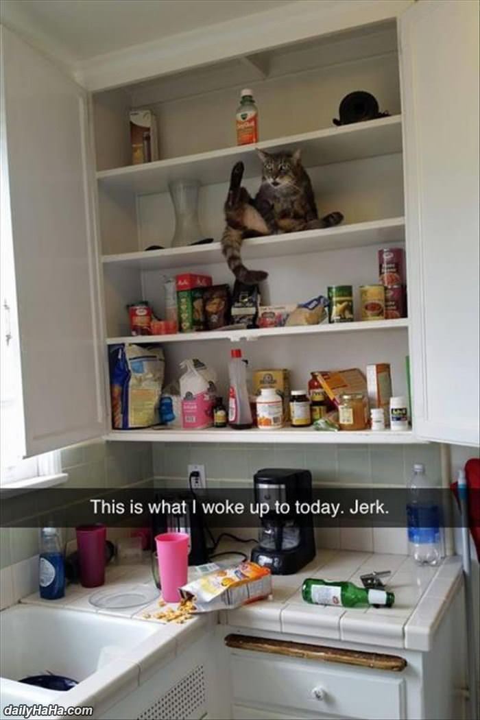 this_is_what_i_woke_up_to_today3703 This Is What I Woke Up To Today