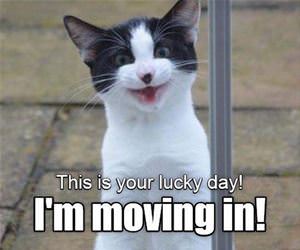this is your lucky day funny picture