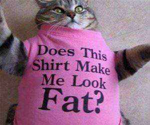 this shirt funny picture