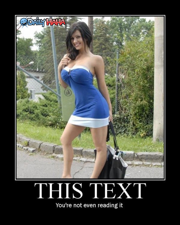 This Text Funny Picture