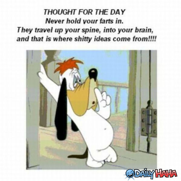 Thought For the Day funny picture