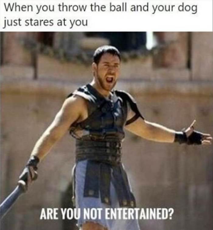 throw-the-ball throw the ball ... 2