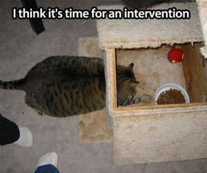 time for an intervention funny picture