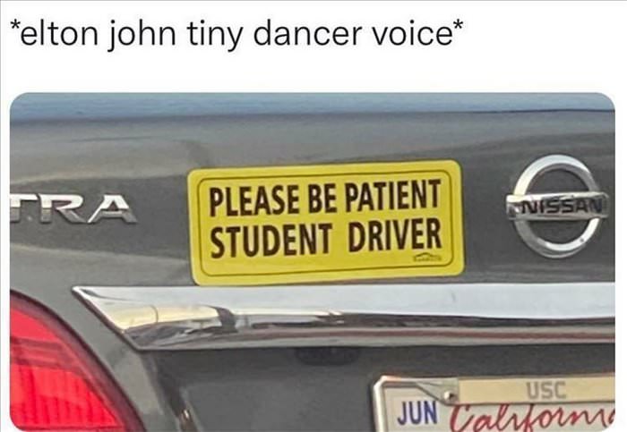 tiny dancer voice