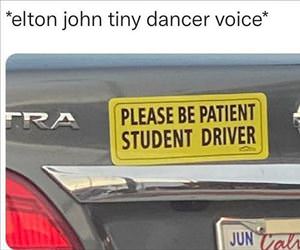 tiny dancer voice