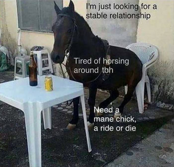 tired of horsing around