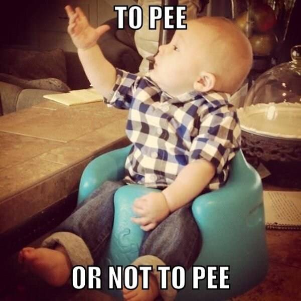 To Pee Or Not to Pee funny picture