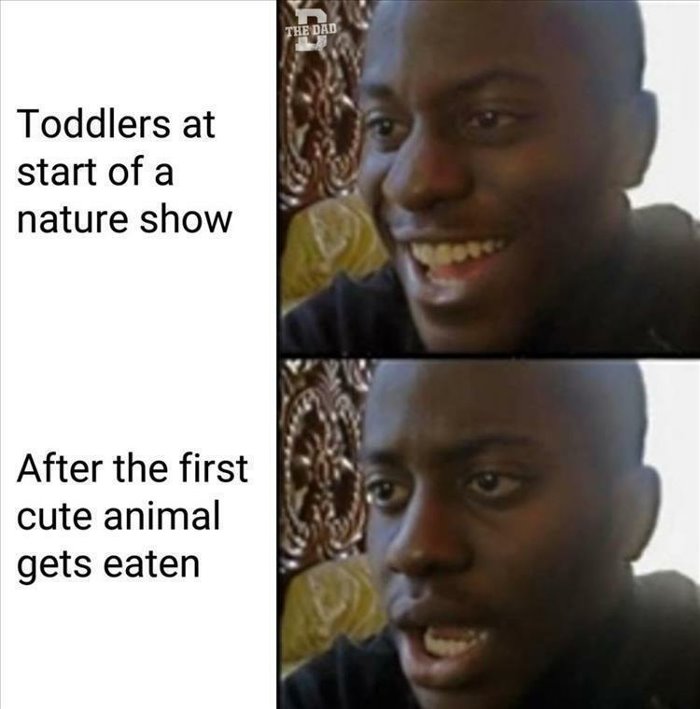toddlers at the start
