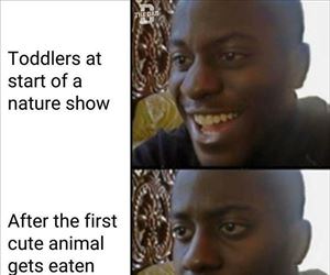 toddlers watching a show