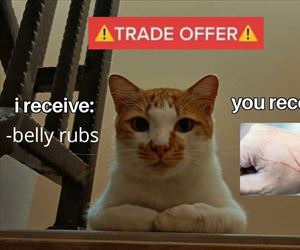 trade offer