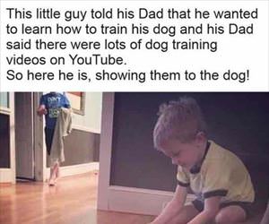 training the dog