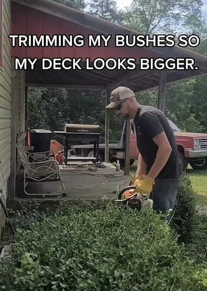 trimming the bushes