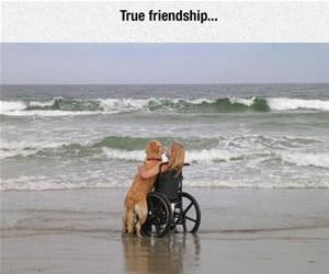 true friendship funny picture