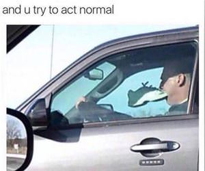 try to act normal funny picture