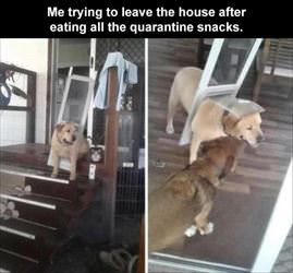 trying to leave the house