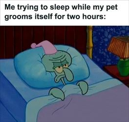 trying to sleep with my pet