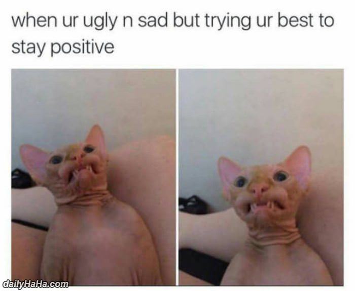 trying to stay positive funny picture