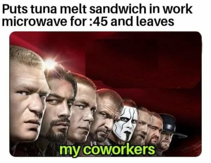 tuna melt in the microwave